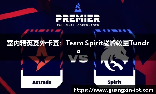 室内精英赛外卡赛：Team Spirit巅峰较量Tundra